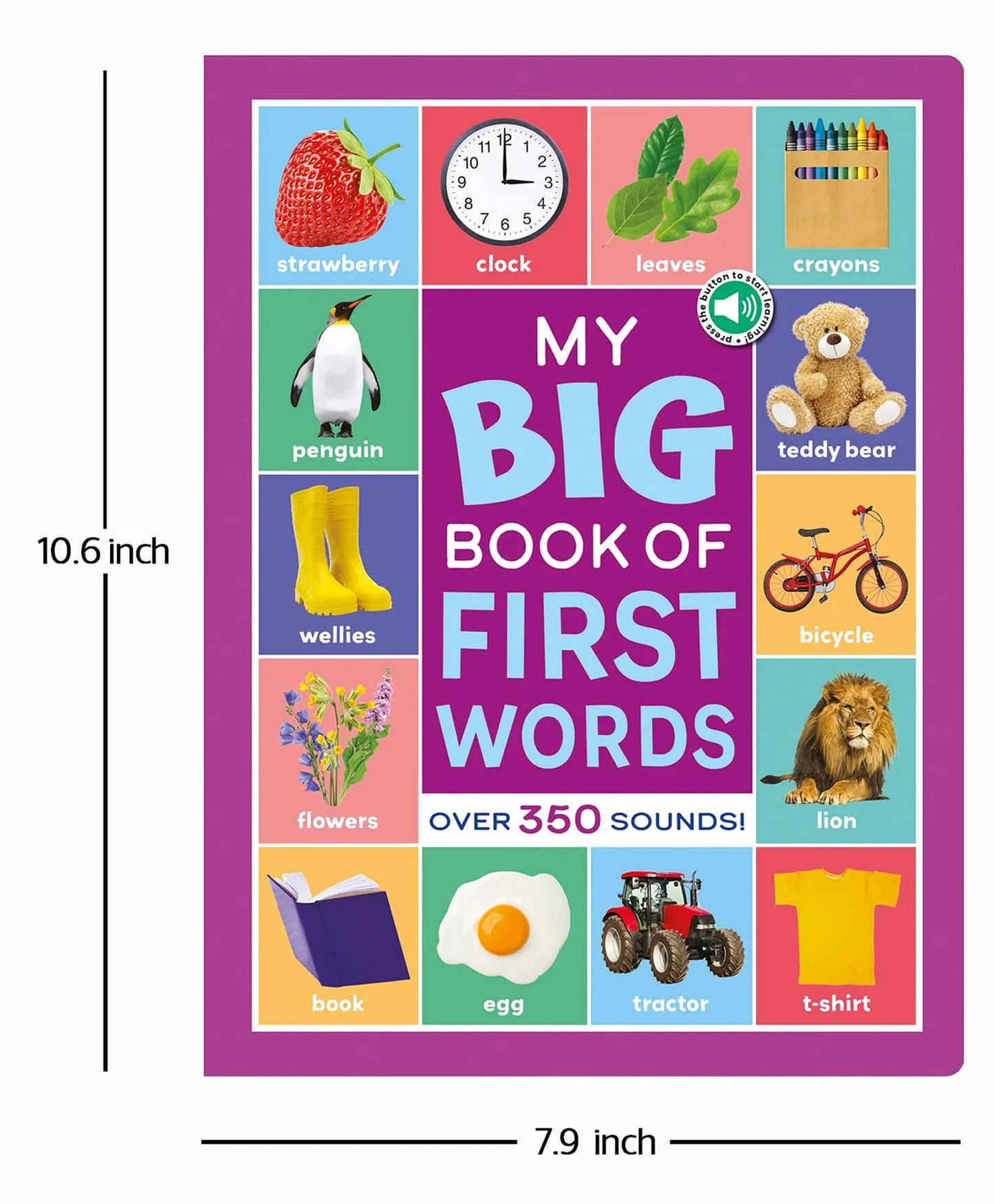 North Parade My Big Book of First Words Multi Sensor Sound Book for Kids | Interactive English Learning Board Book
