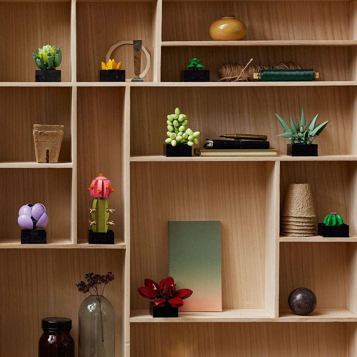 LEGO 10309 Succulents Plant Decor Building Kit For The Kids Age 18+ (771 Pieces) - Botanical Collection