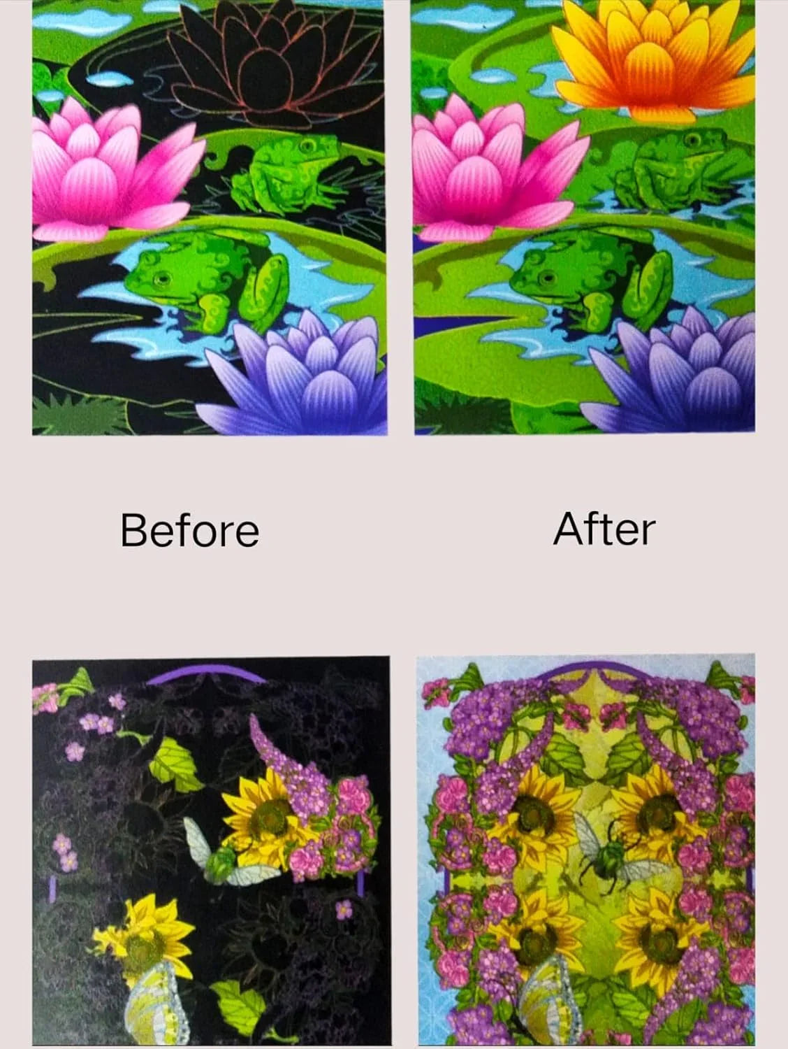 Picture Etch: Enchanting Nature – Hummingbirds (Beautiful Etch by Hinkler) - Jaiman Toys