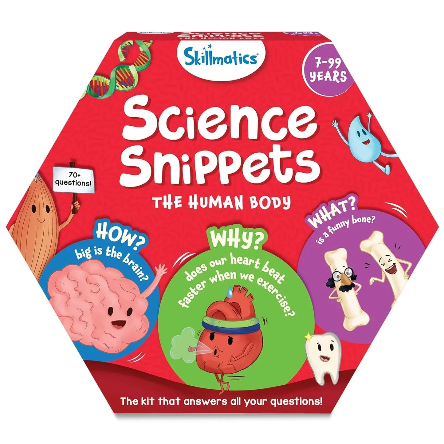 Skillmatics Flash Cards - Science Snippets The Human Body, Learning Resources & Educational Toys for Boys & Girls, Gifts for Ages 7, 8, 9 & Up, 70+ Cards - Jaiman Toys