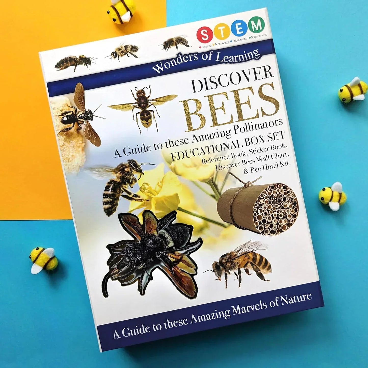 Wonders of Learning – Bees | Educational Paperback Book for Kids
