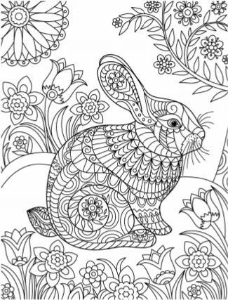 Backyard Bliss Creative Pages Coloring Kit - Jaiman Toys