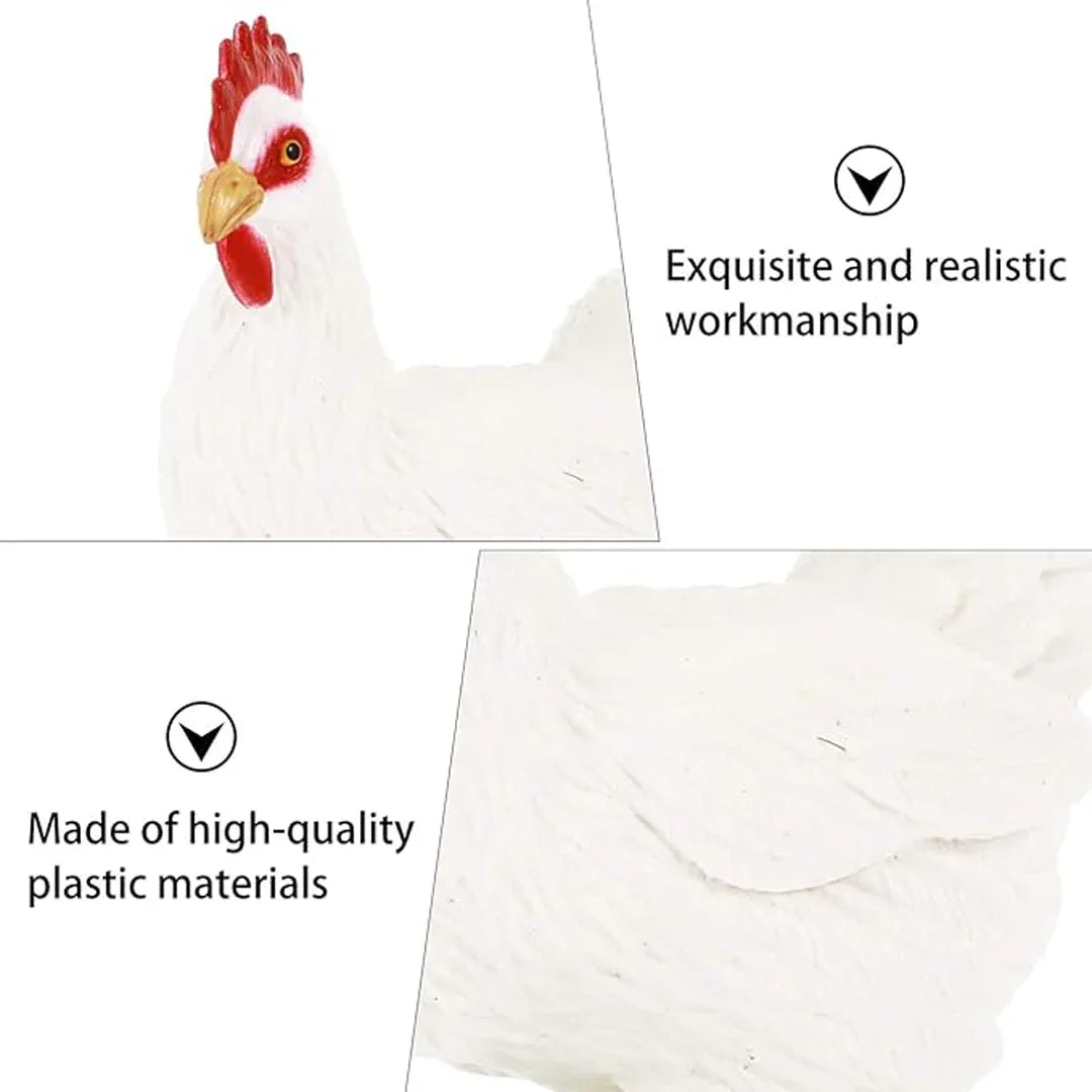 Chicken Life Cycle Educational Toy Set – Hen, Eggs & Chick Hatching Model for Kids Learning