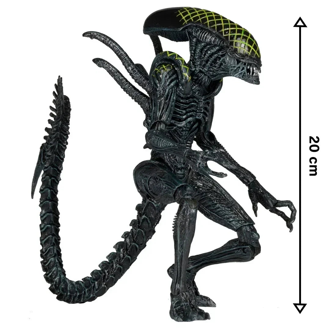 NECA Aliens Series 7 AvP Grid Xenomorph Action Figure (7" Scale) - Jaiman Toys