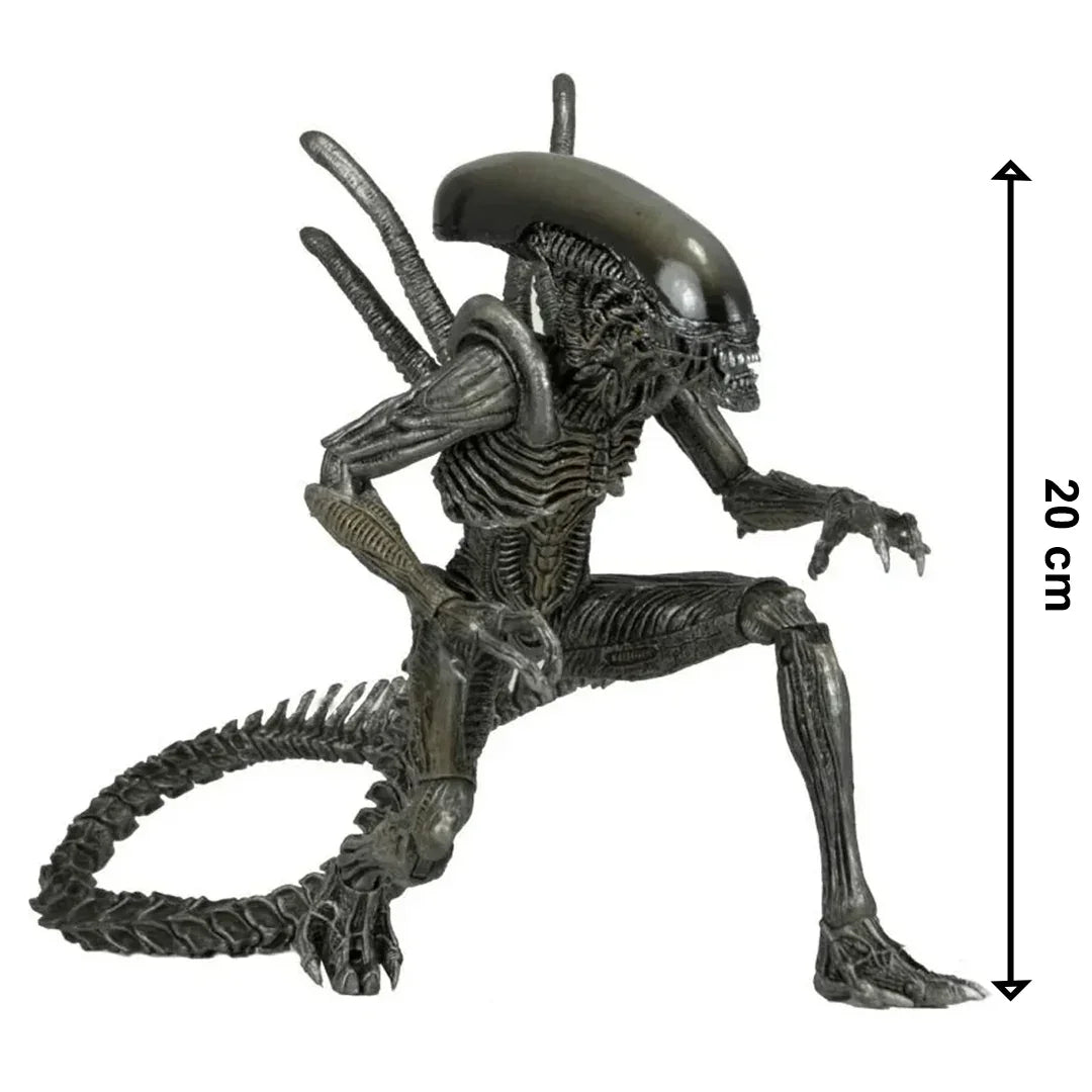 NECA Aliens Warrior Alien vs Predator AVP Black 7" Action Figure 1:12 Series 7 - Jaiman Toys