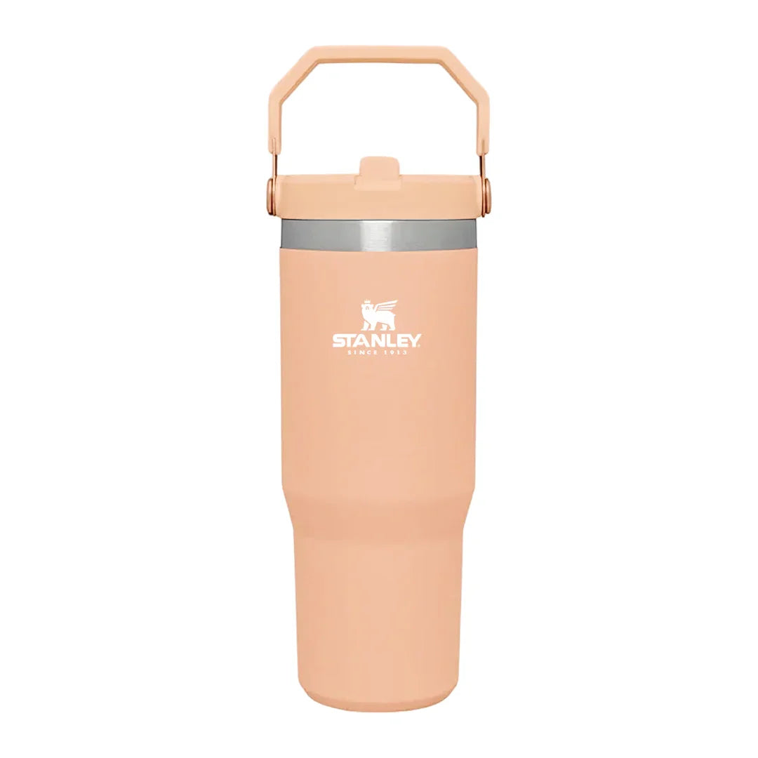 Stanley IceFlow™ Flip Straw Tumbler | 887ml with Straw for Water (30 oz) - Jaiman Toys