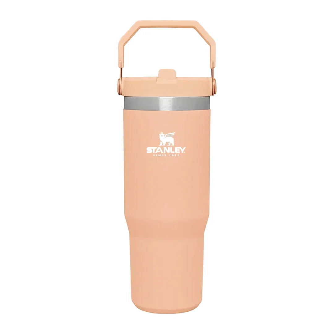 Stanley IceFlow™ Flip Straw Tumbler | 887ml with Straw for Water (30 oz) - Jaiman Toys