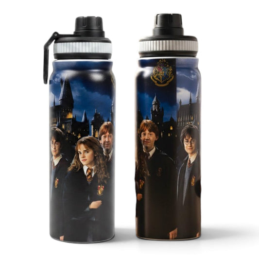 Harry Potter 800ml Stainless Steel Water Bottle with Drinking Spout, Carry Handle & Removable Steel Filter for School & Travel