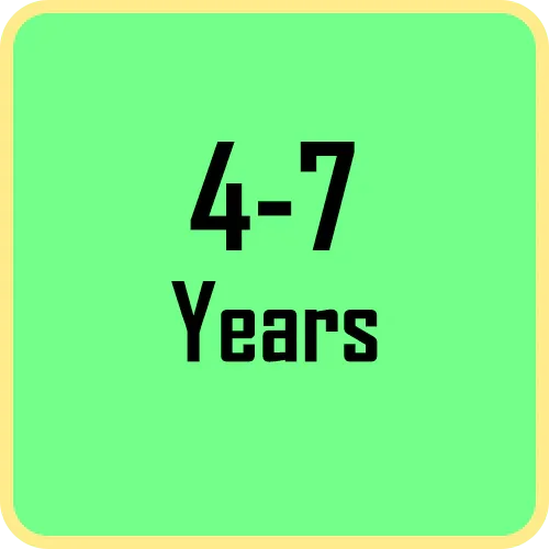 4-7 Years - Jaiman Toys