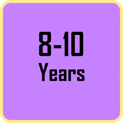 8-10 Years - Jaiman Toys
