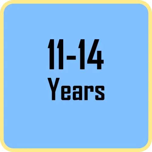 11-14 Years - Jaiman Toys