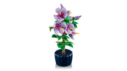 LEGO Icons Botanical Collection – Hibiscus (10372) | 660 Pieces - Jaiman Toys