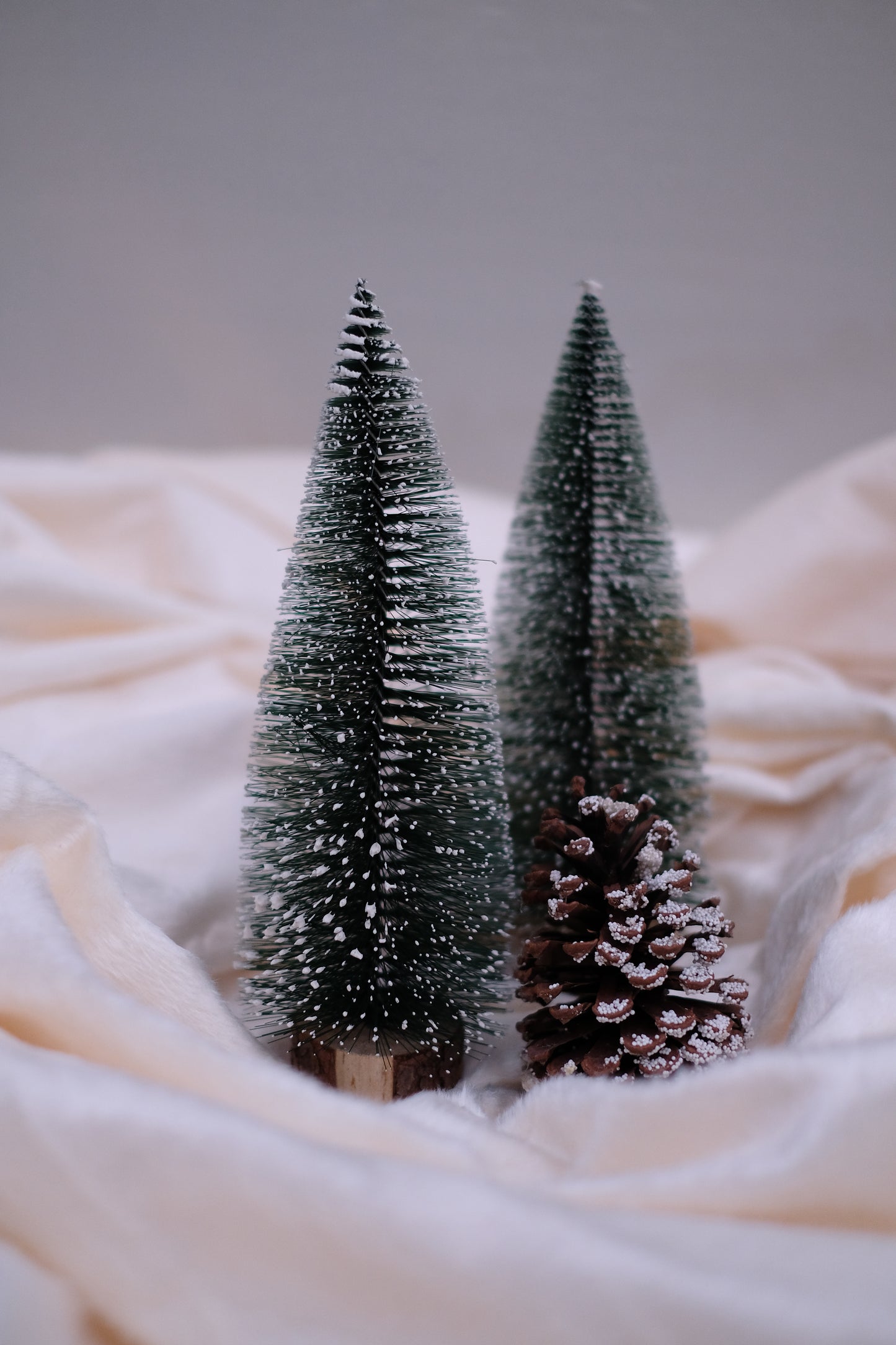 SWEN Jane Tabletop Christmas Tree – Pack | Frosted Mini Trees with Wooden Base for Home & Office Décor
