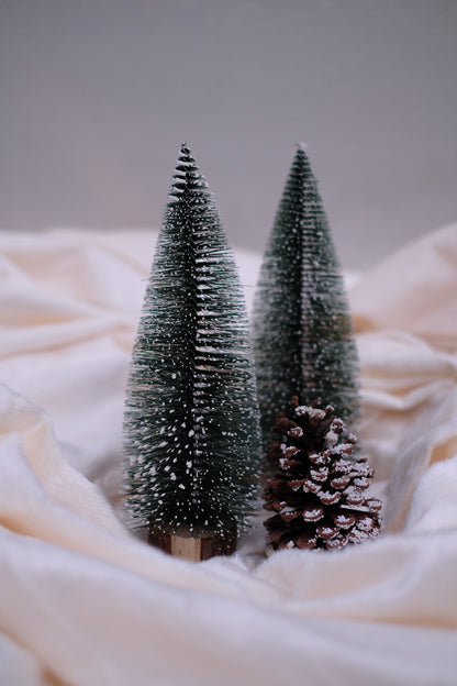 SWEN Jane Tabletop Christmas Tree – Pack | Frosted Mini Trees with Wooden Base for Home & Office Décor