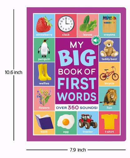 North Parade My Big Book of First Words Multi Sensor Sound Book for Kids | Interactive English Learning Board Book