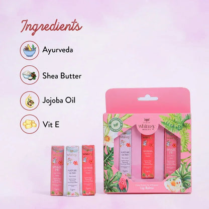 Whimsy Essential Care Lip Balms - Pack of 3 - Jaiman Toys