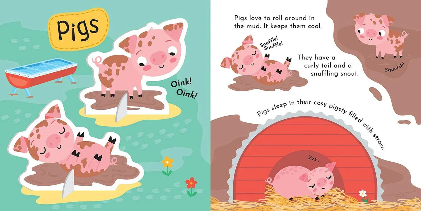 Build and Play Farm | Interactive Build & Play Kit for Kids (Robyn Gale (Author), Sarah Wade (Illustrator)
