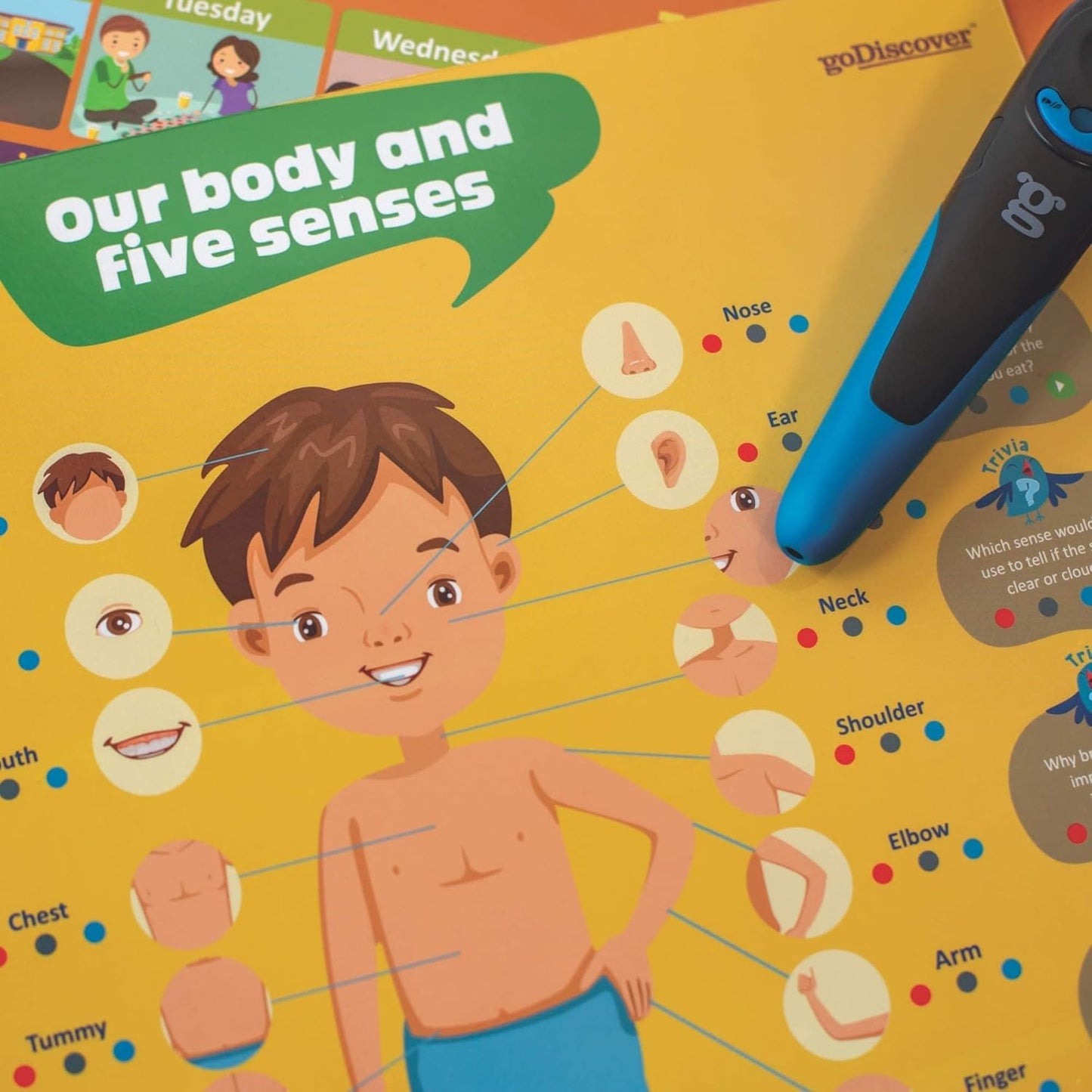 goDiscover Kinder Smart Interactive Learning Posters with Talking Pen | 18 Educational Charts for Kids (3–6 Years)