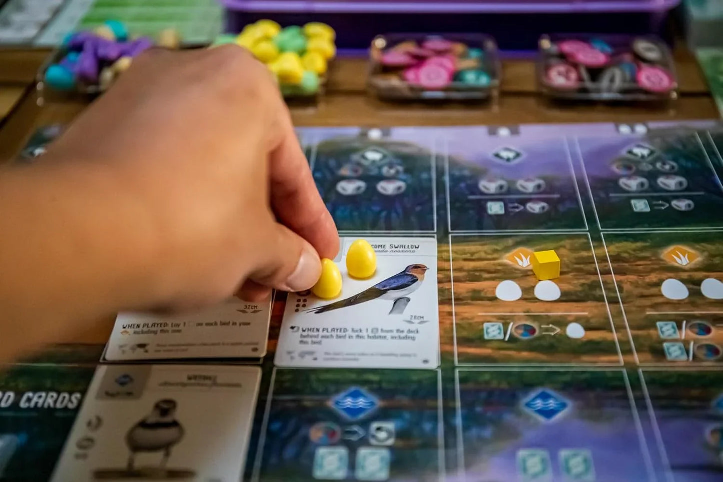 Wingspan Oceania Expansion Board Game - Jaiman Toys