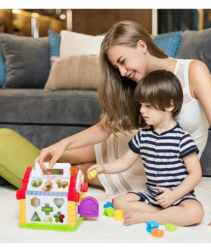 HOLA House Party Educational Toys, Baby House with Shape Sorters, Musical Piano Keys, Counting Math Beads ,Blocks Activity Cube ,Play Cube for Kids - 739 - Jaiman Toys