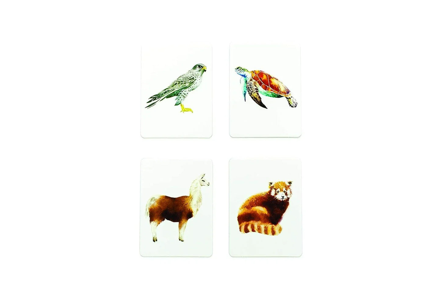 You Callin’ Me a Cheetah? I’m a Leopard! – Fun Animal Memory Card Game for Kids & Families - Jaiman Toys