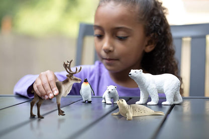 Schleich Wild Life - Arctic Animal Bundle 2022 Set - Kids Ages 3+ | 77421 | Wild Animal Figurine, Realistic Animal Toys, Safari Toy for Boys and Girls, Screen-Free Imaginative Pretend Play, Montessori