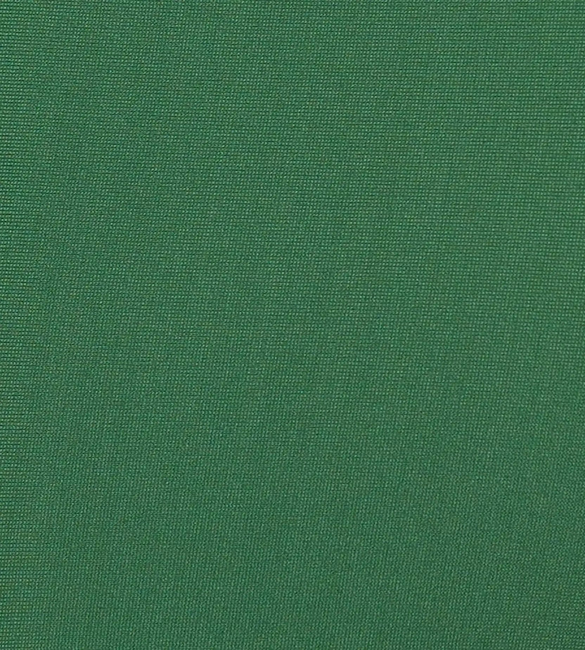 Speedo Men’s Endurabrite Panel Print Dive Jammer – Dark Green & Pale Adventure