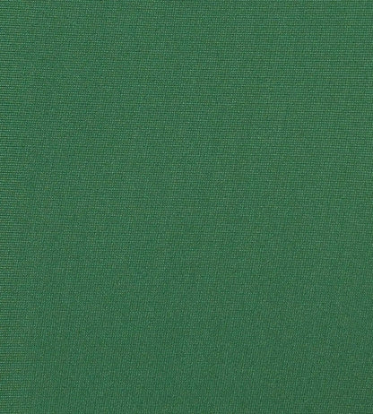 Speedo Men’s Endurabrite Panel Print Dive Jammer – Dark Green & Pale Adventure