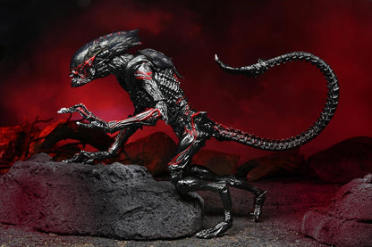 NECA Aliens Kenner Tribute Night Cougar Alien 7" Action Figure – Ultimate Collectible - Jaiman Toys