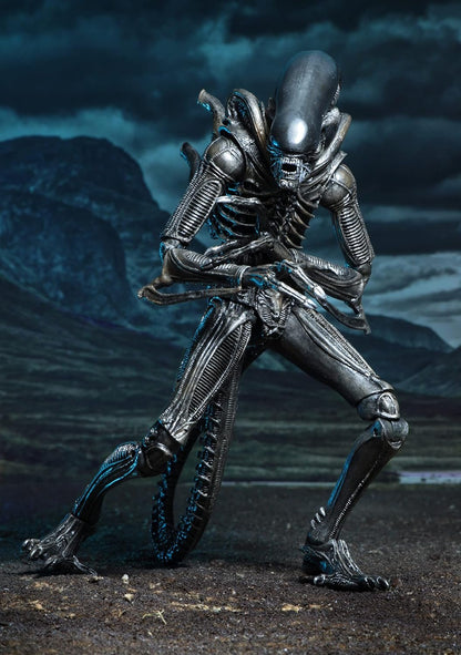 NECA - ALIENS! CARTTER J. BRUKE &amp; XENOMORPH WARRIOR - NECA Exclusive Action Figures Age 17+