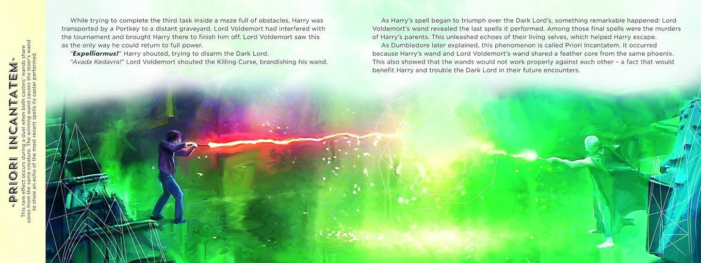 Harry Potter: The Wand Chooses the Wizard – Interactive Wand Book with Spell Sounds