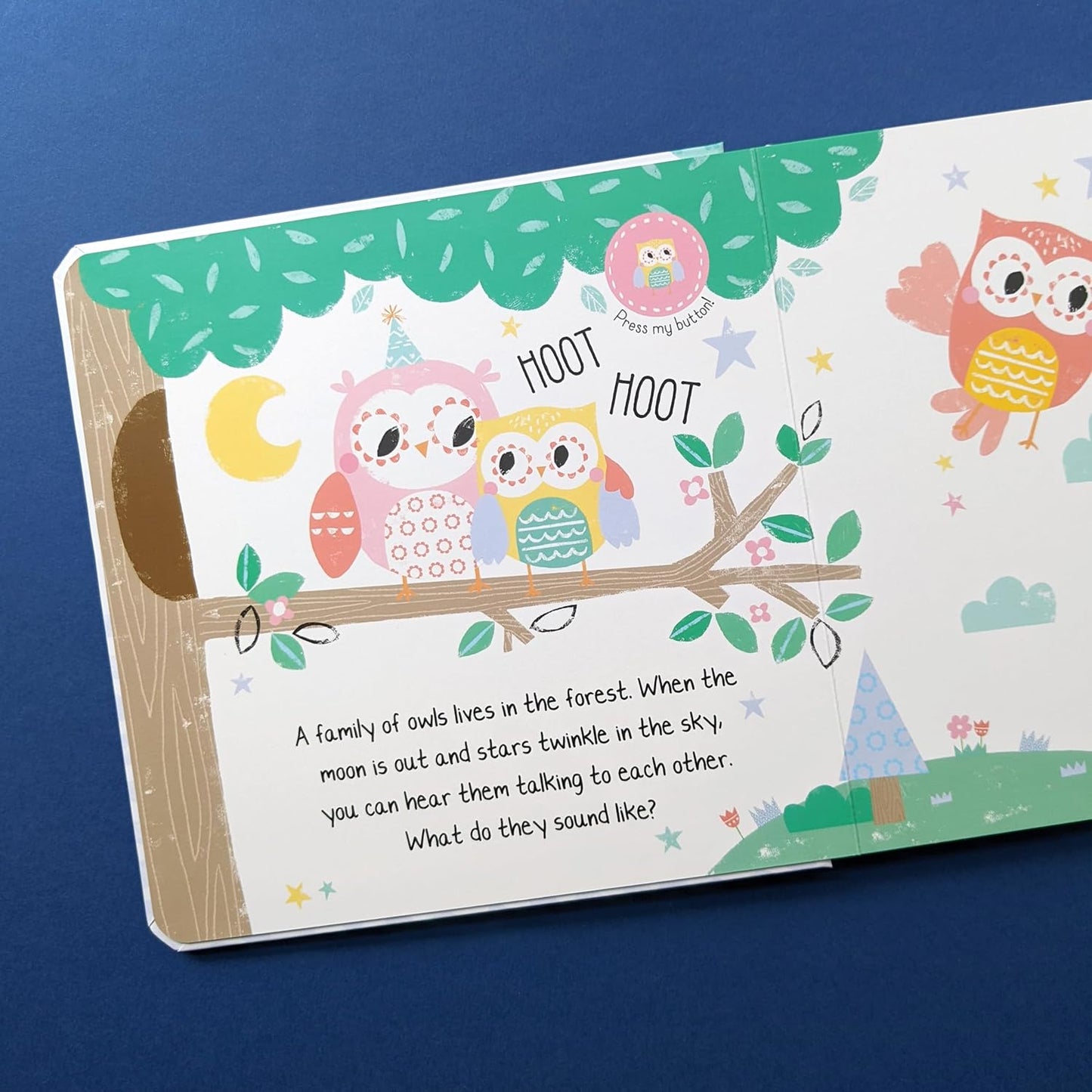 North Parade Hoot, Hoot in the Noisy Forest | Interactive Forest Animal Sound Book for Kids
