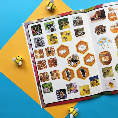 Wonders of Learning – Bees | Educational Paperback Book for Kids