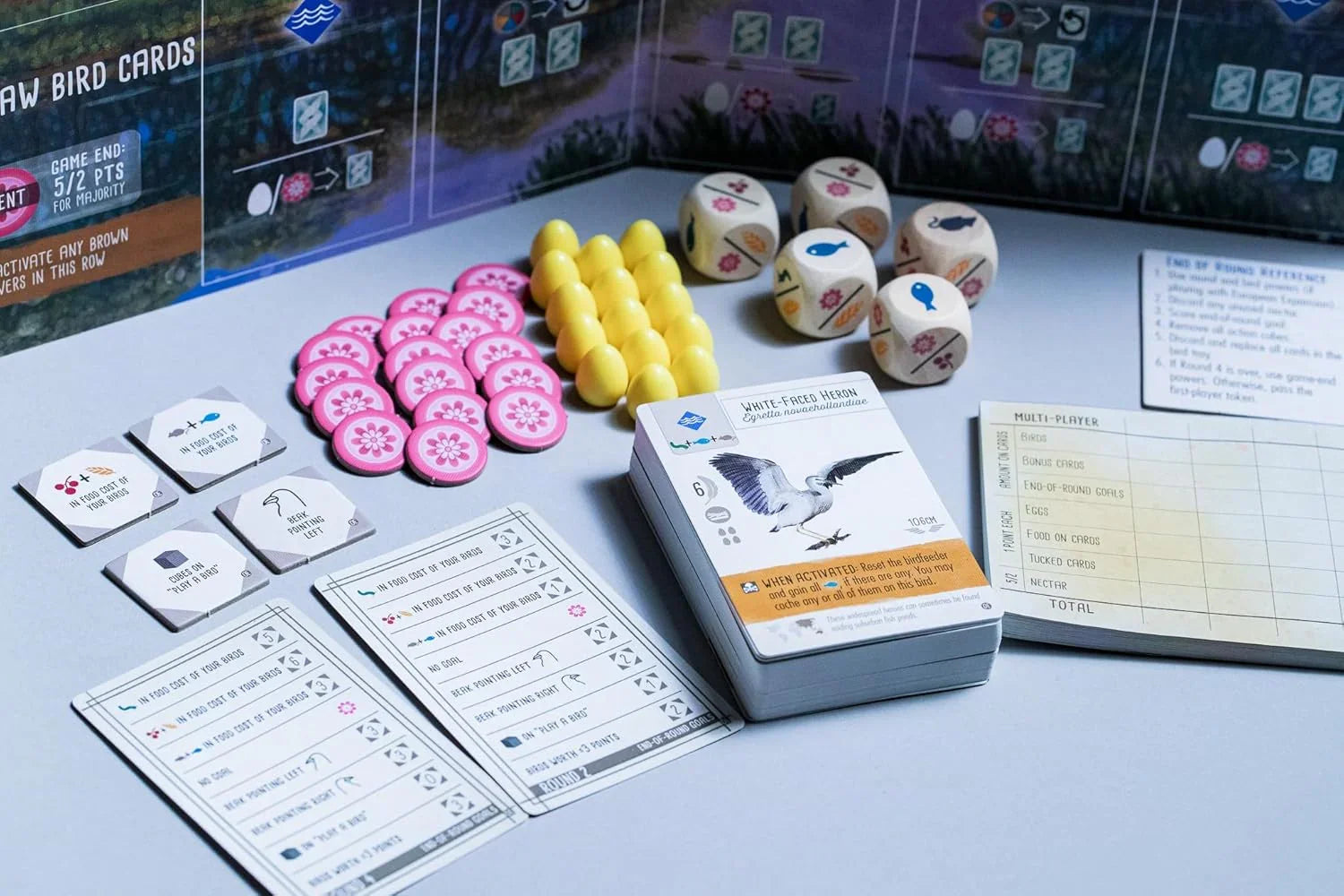 Wingspan Oceania Expansion Board Game - Jaiman Toys