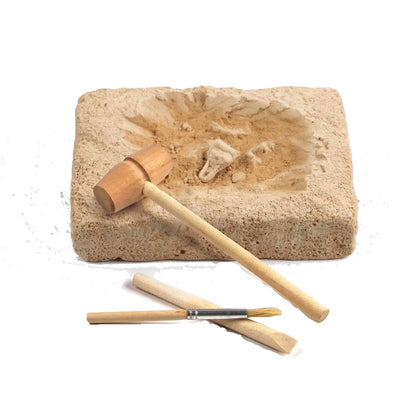 Wonders of Learning – Discover Dinosaurs Educational Box Set | Kids Dinosaur Learning Kit