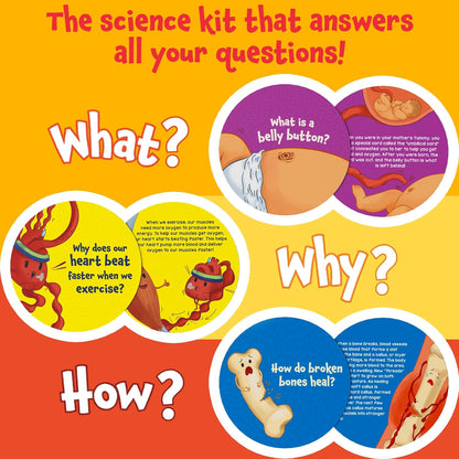 Skillmatics Flash Cards - Science Snippets The Human Body, Learning Resources & Educational Toys for Boys & Girls, Gifts for Ages 7, 8, 9 & Up, 70+ Cards