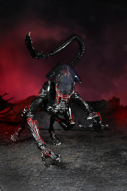 NECA Aliens Kenner Tribute Night Cougar Alien 7" Action Figure – Ultimate Collectible - Jaiman Toys