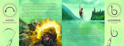 Harry Potter: The Wand Chooses the Wizard – Interactive Wand Book with Spell Sounds
