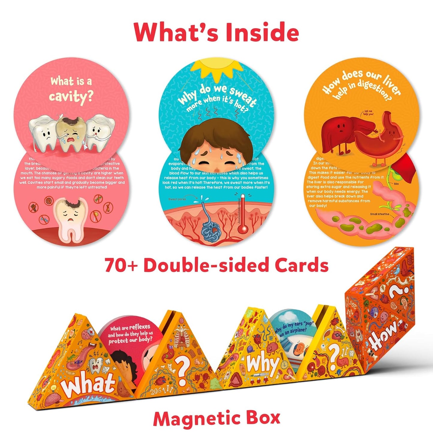 Skillmatics Flash Cards - Science Snippets The Human Body, Learning Resources & Educational Toys for Boys & Girls, Gifts for Ages 7, 8, 9 & Up, 70+ Cards