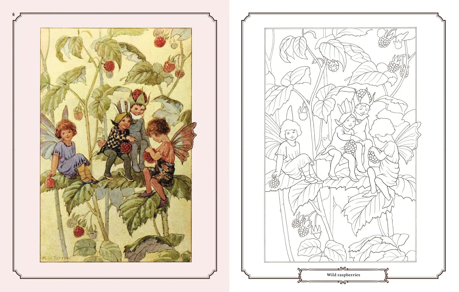 Enchanting Fairies Colouring Kit – 64-Page Book, 6 Frameable Prints & 10 Pencils - Jaiman Toys