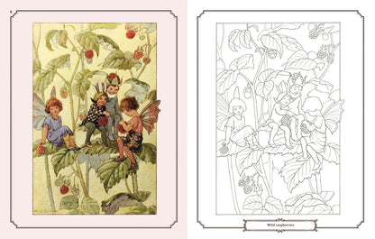 Enchanting Fairies Colouring Kit – 64-Page Book, 6 Frameable Prints & 10 Pencils - Jaiman Toys