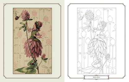 Enchanting Fairies Colouring Kit – 64-Page Book, 6 Frameable Prints & 10 Pencils - Jaiman Toys