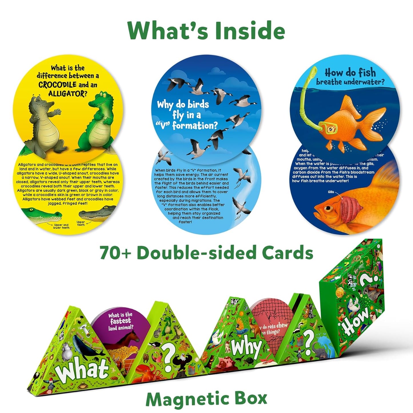 Skillmatics Flash Cards - Science Snippets Animals, Learning Resources & Educational Toys for Boys & Girls, Gifts for Ages 7, 8, 9 & Up, 70+ Cards