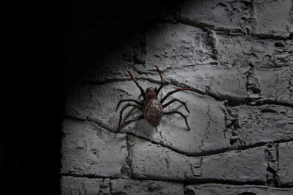 NECA Universal Monsters Dracula Action Figure Accessory Set – Collectible Add-Ons - Jaiman Toys