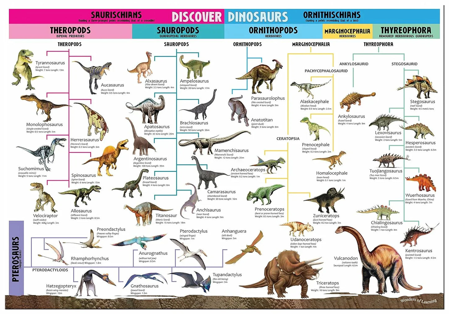 Wonders of Learning – Discover Dinosaurs Educational Box Set | Kids Dinosaur Learning Kit