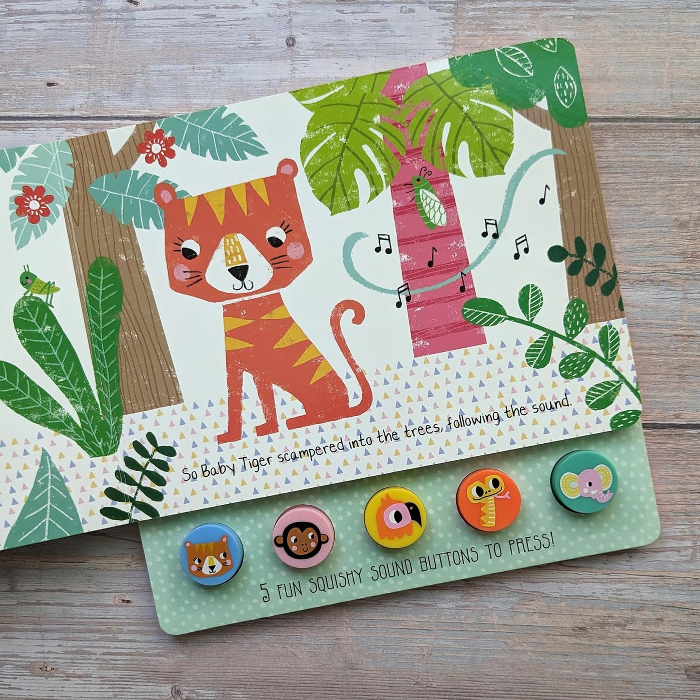 North Parade What Did Tiger Hear? Press & Play Animal Sound Book with 5 Squishy Sound Buttons
