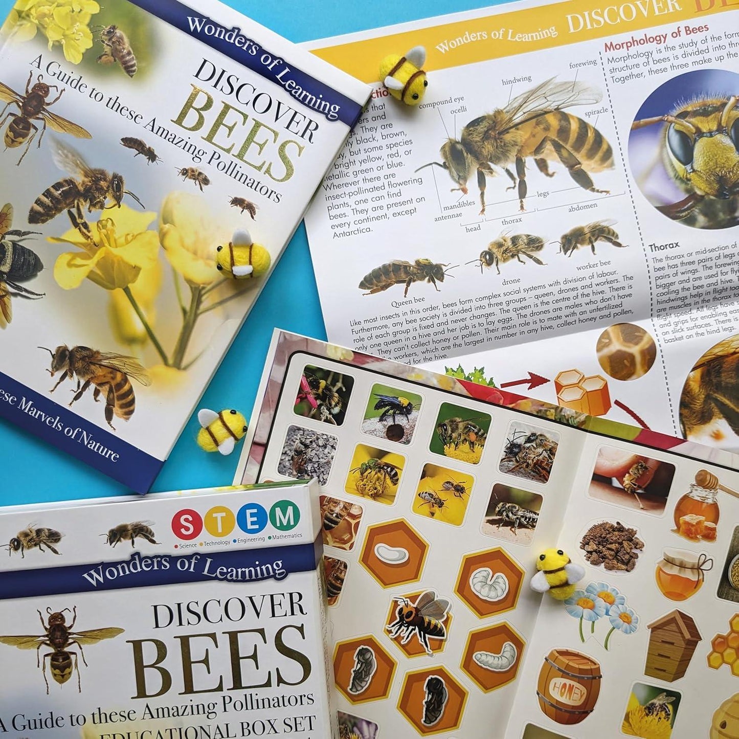 Wonders of Learning – Bees | Educational Paperback Book for Kids