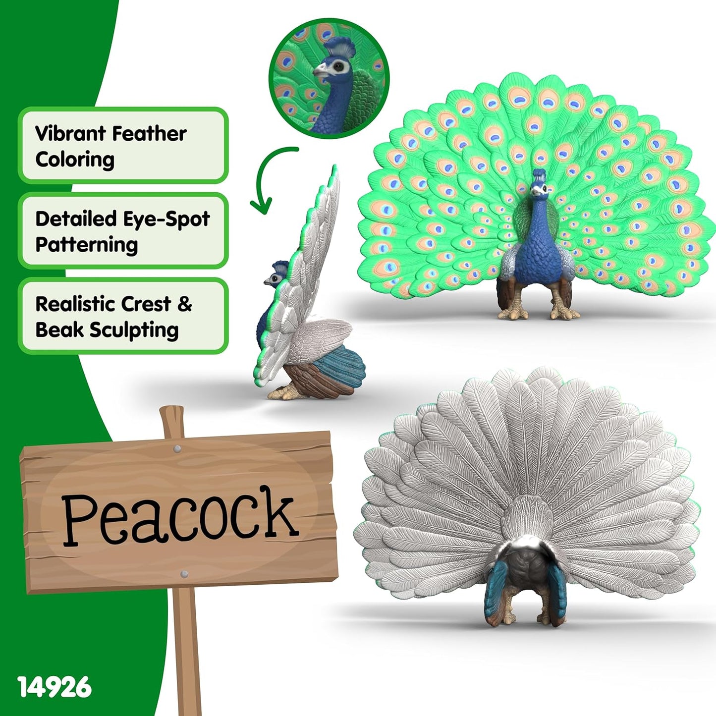 Schleich Farm World - Peacock Toy Figurine - Kids Ages 3+ | 14926 | Farm Animal Figurine, Realistic Animal Toys, Barn Toy for Kids 3+, Screen-Free Imaginative Pretend Play, Montessori