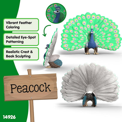 Schleich Farm World - Peacock Toy Figurine - Kids Ages 3+ | 14926 | Farm Animal Figurine, Realistic Animal Toys, Barn Toy for Kids 3+, Screen-Free Imaginative Pretend Play, Montessori