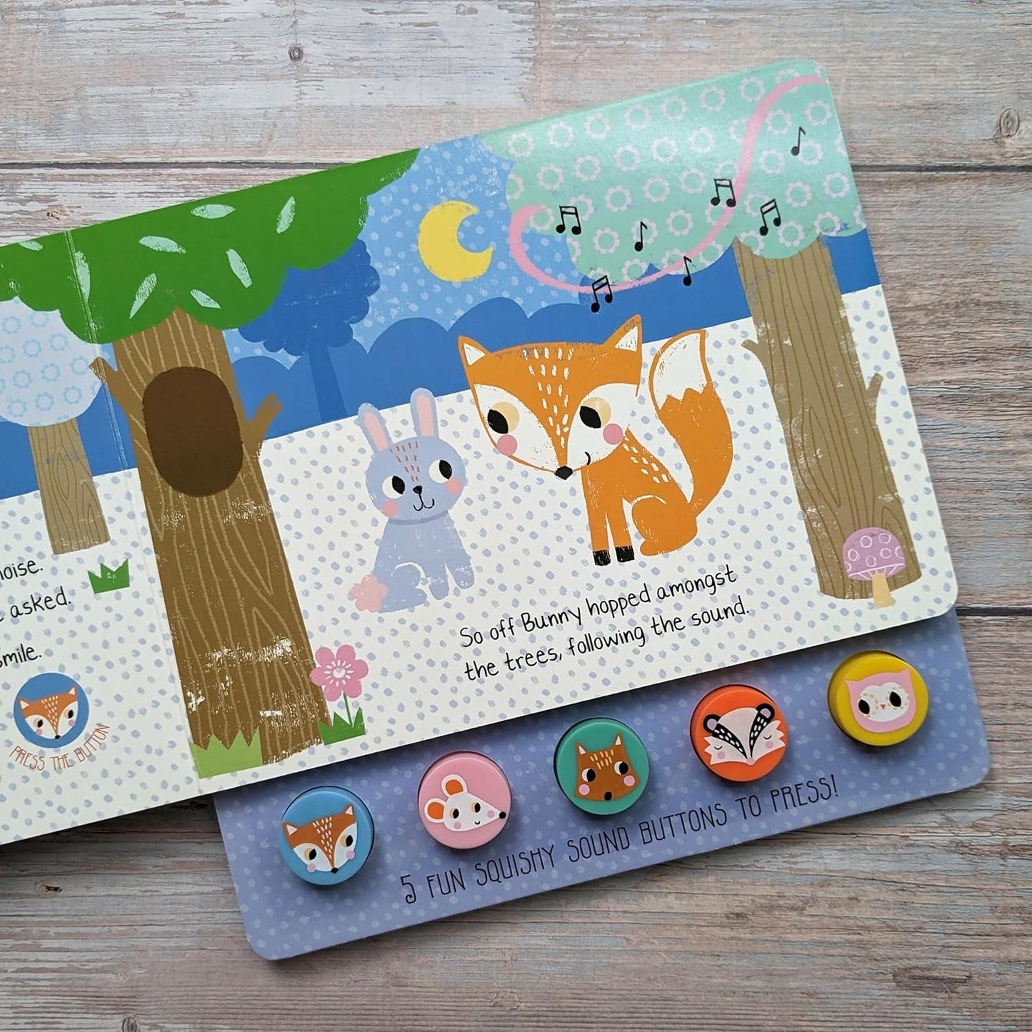North Parade What Did Bunny Hear? Press and Play Squishy Sound Book for Kids